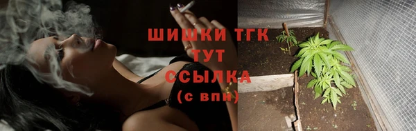 тгк Бронницы