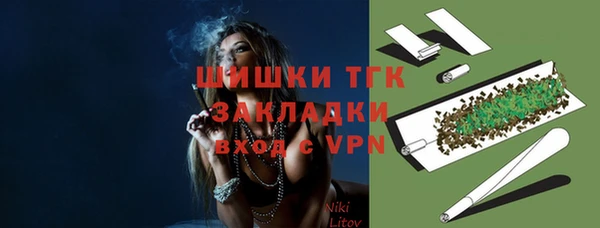 тгк Бронницы