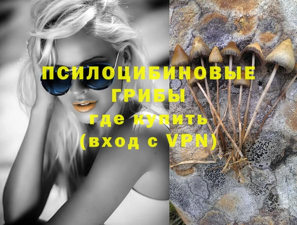 круглые Бородино