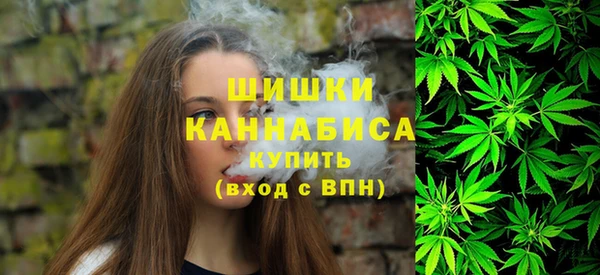 mix Пестово