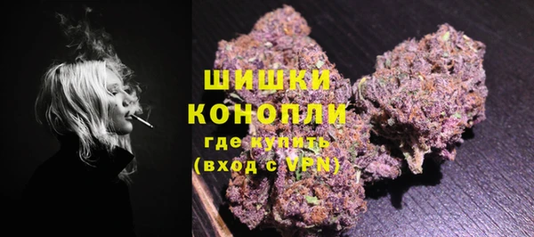 тгк Бронницы